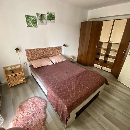 Central * Bacau